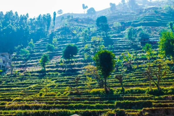 Nepal's History: 4 Days & 3 Nights of Culture & Heritage