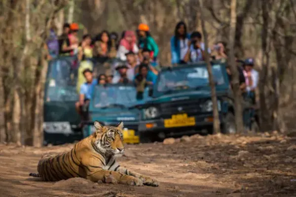 Exciting Rajasthan: Discover the Magic of 2 Days & 1 Night with HECT India