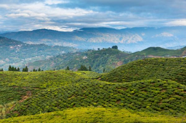 Immerse Yourself in the Scenic Beauty of Sikkim: 5 Days & 4 Nights of Pure Tranquility