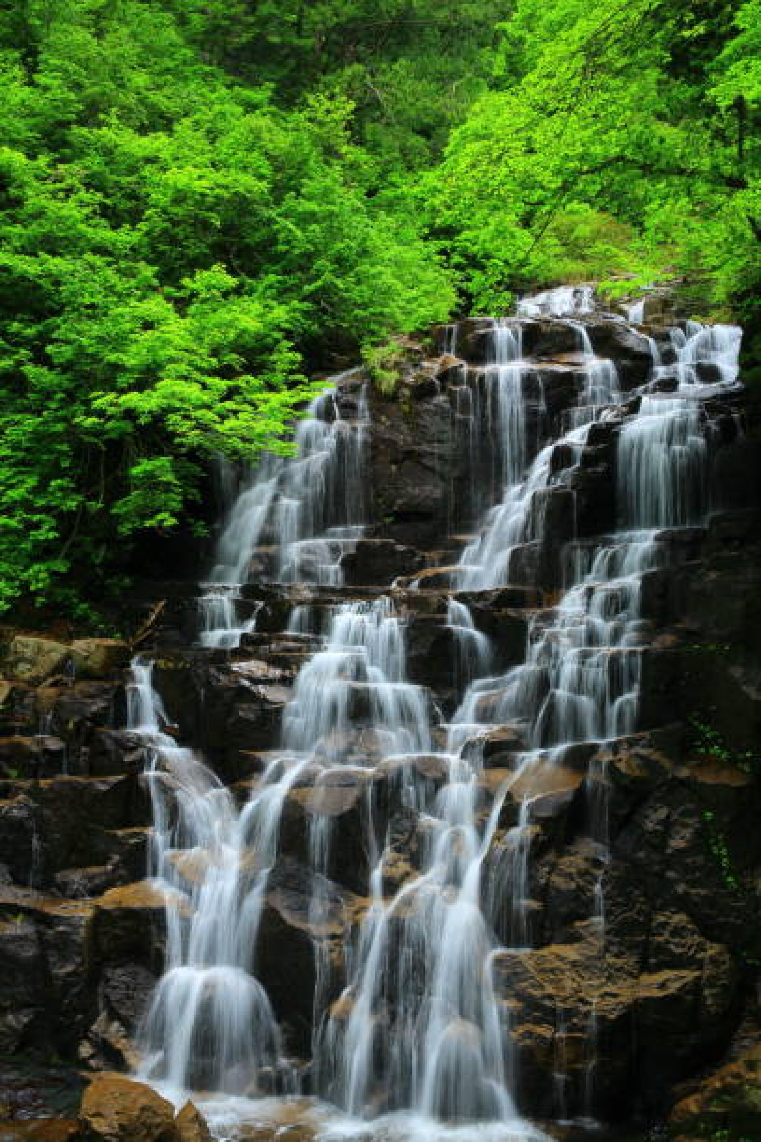 Cherrapunji Tour: 4 Days of Meghalaya's Beauty