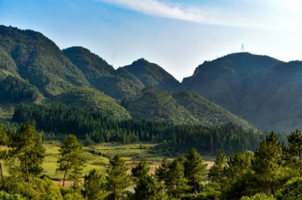 Mesmerizing Meghalaya: 4 Days & 3 Nights