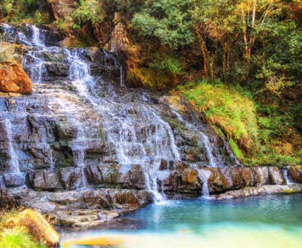 Meghalaya Tour: 4-Day Journey from Ahmedabad