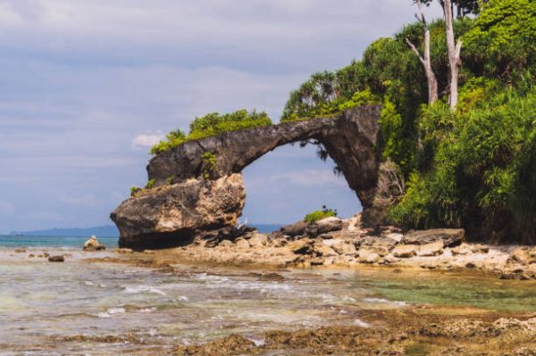 Escape to Serenity: Blissful Andaman in 6 Days & 5 Nights