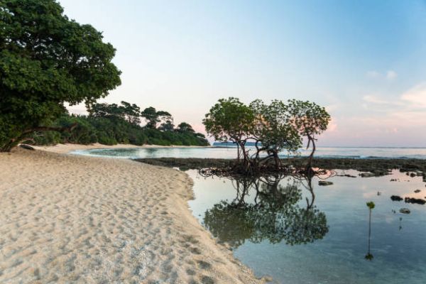 Explore Andamans: 5-Day Fun-Filled Tour Package Awaits You