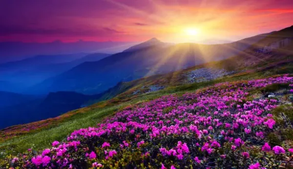 7 Nights & 8 Days Kashmir Tour: Discover the Magic of the Valley