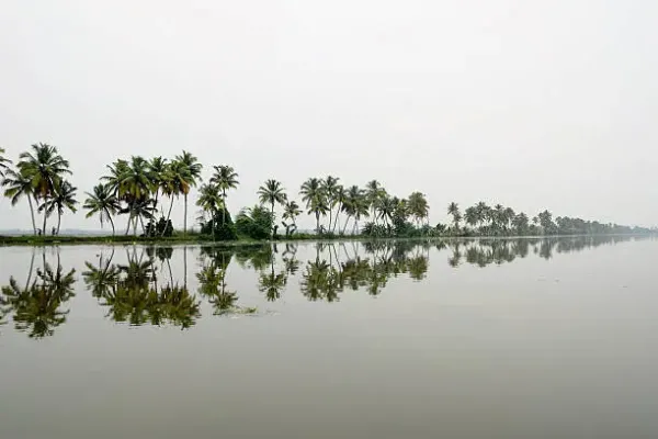 3 Nights & 4 Days Kochi & Munnar Honeymoon: Romantic Escape