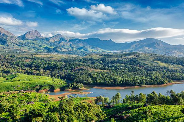 Discover the Magic of Kerala: 3 Days & 2 Nights of Enchantment in God's Own Country