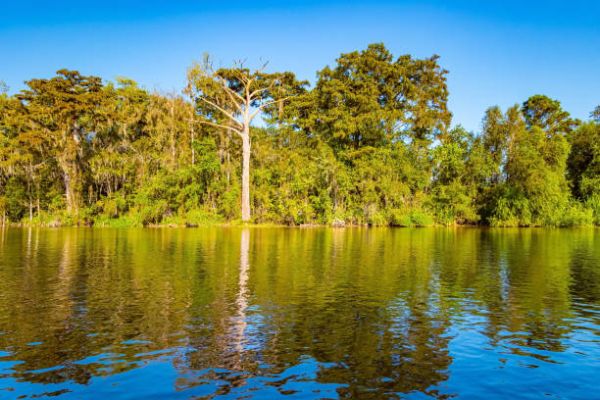 Northern Australia 4WD Camping | Hect India