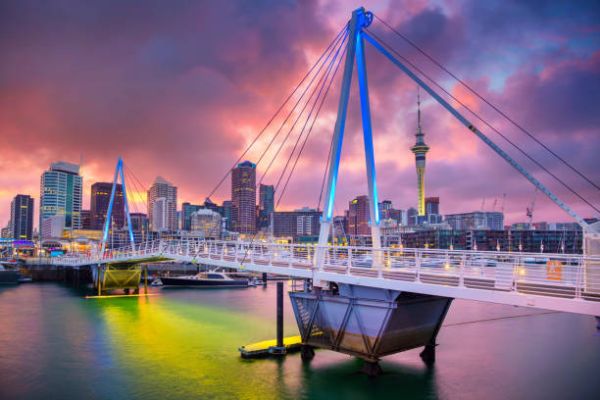 Discover the Majestic North: 9 Days of New Zealand Wonders