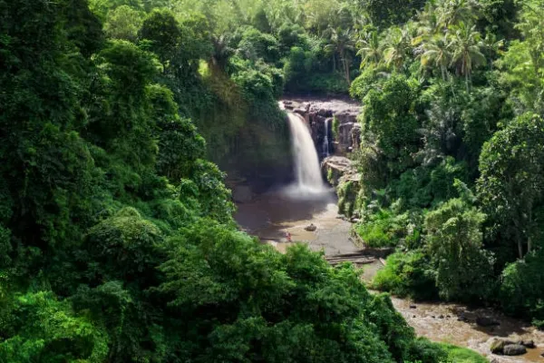 Discover Bali: 7 Days of Adventure, Culture & Penida Island