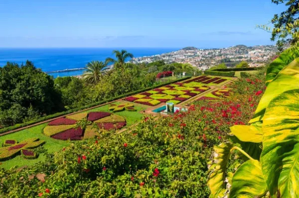 Madeira 8-Day Self-Drive Adventure Through Scenic Beauty