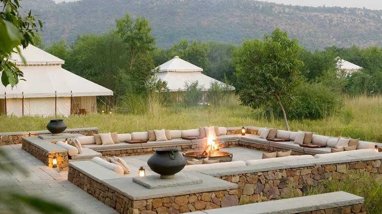Discover the Best Hotels in Ranthambore – Gateway to the Wild