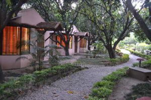 Corbett wilds Jungle Resorts