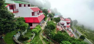 Blue Pine Resort
