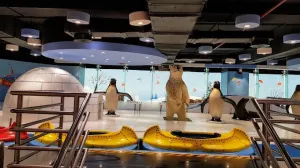 Fun City -Ambience Mall