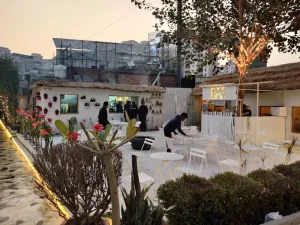 The Big Tree Cafe