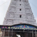 Padmavati Temple