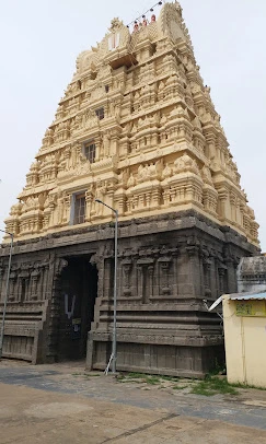 Arulmigu Vaithya Veeraraghava Perumal Temple