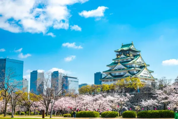 Best Japan Tour Package from Delhi – Explore Tokyo, Kyoto & More