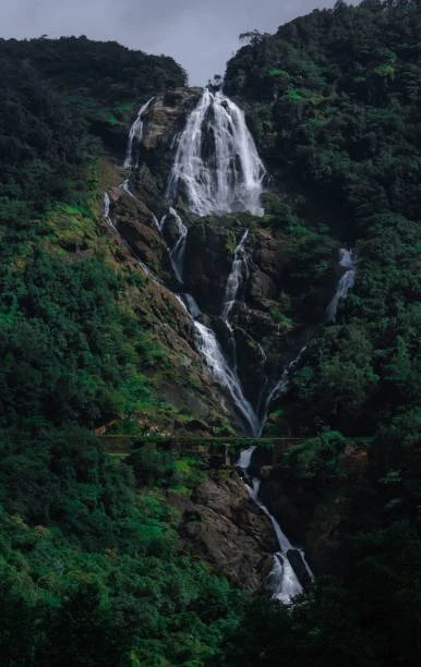 Goa Dudhsagar Waterfall Adventure Tour Package