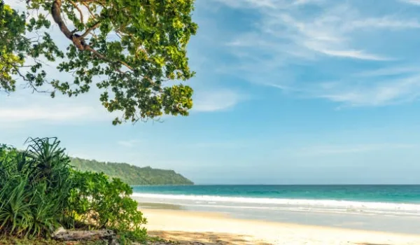 Mesmerizing Andaman 5 Day Island Adventure