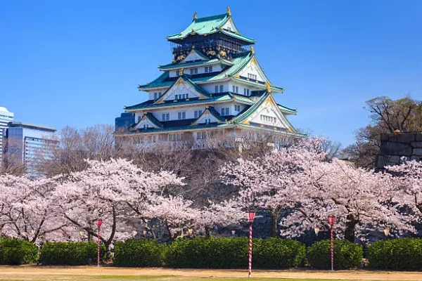 Discover Japan & South Korea Tours | Cultural Highlights