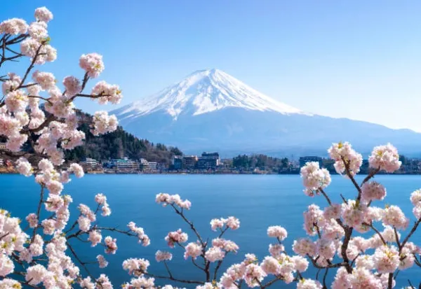 6 Days Tokyo Japan Tour Package