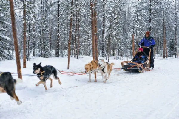 Arctic Norway Winter Tour: Northern Lights & Adventure