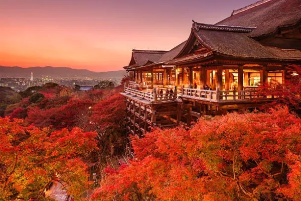 Explore Japan: Tokyo, Kyoto & Mount Fuji Tour