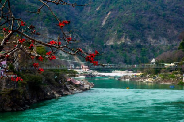 Revitalize & Reconnect: Corporate Retreat in Rishikesh