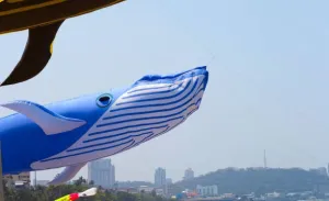 Dolphinarium Pattaya